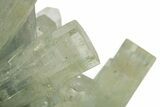 Pristine Goshenite Crystal Cluster - Erongo Mountains, Namibia #335186-1